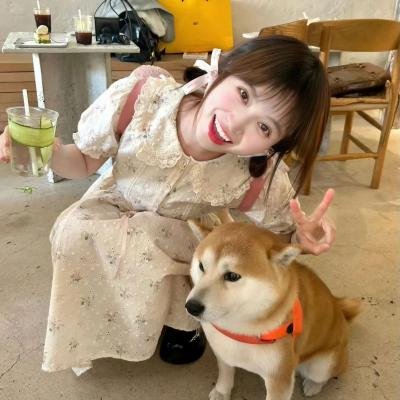 我和春天有个约会国语
