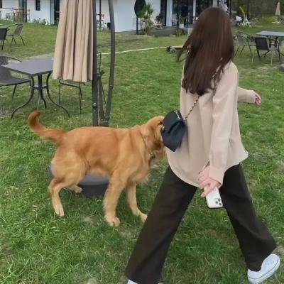 班吉